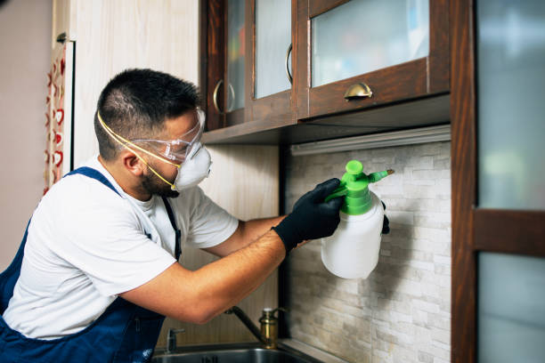 Best Affordable Pest Control Services  in East Providence, RI