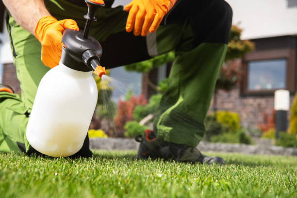 Pest Control Cost in East Providence, RI