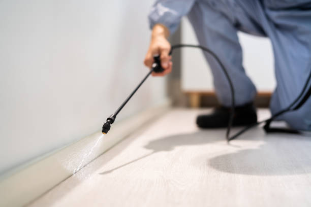 Professional Pest Control in East Providence, RI