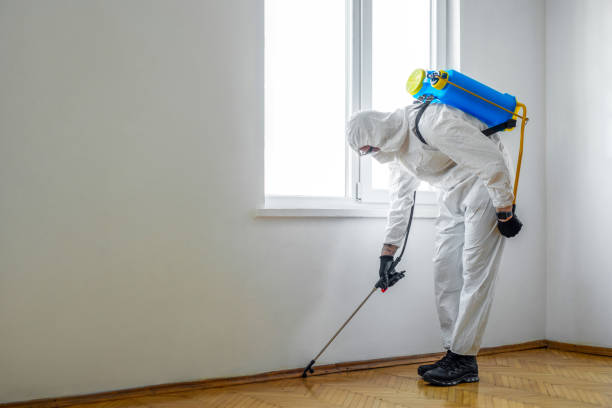 Best Commercial Pest Control Services  in East Providence, RI