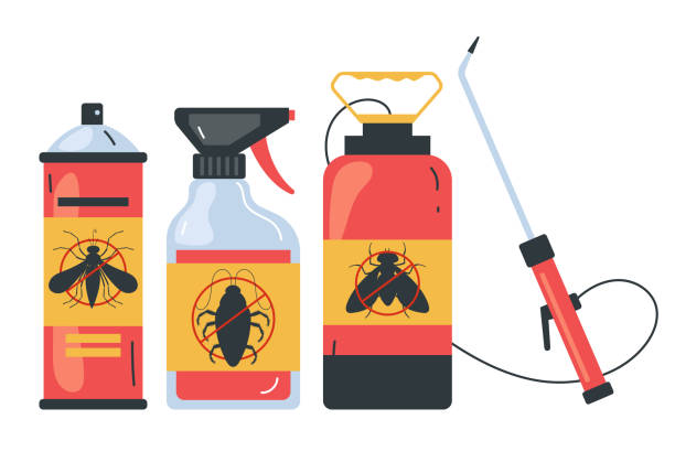 Best Ant Control Services  in East Providence, RI