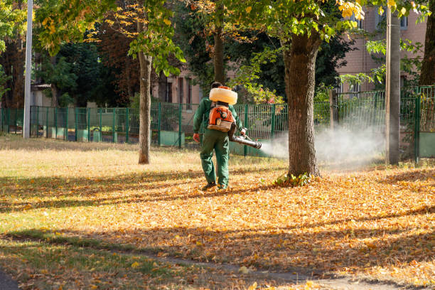 Best Wildlife Control Services  in East Providence, RI